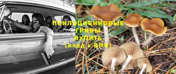 дурь Киренск